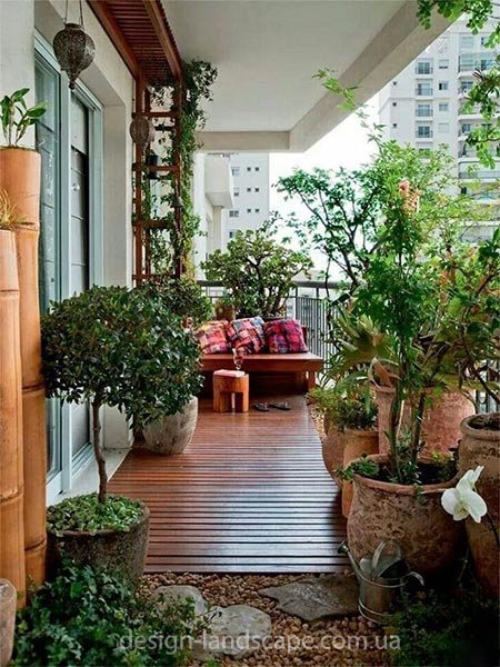 зимний сад на балконе